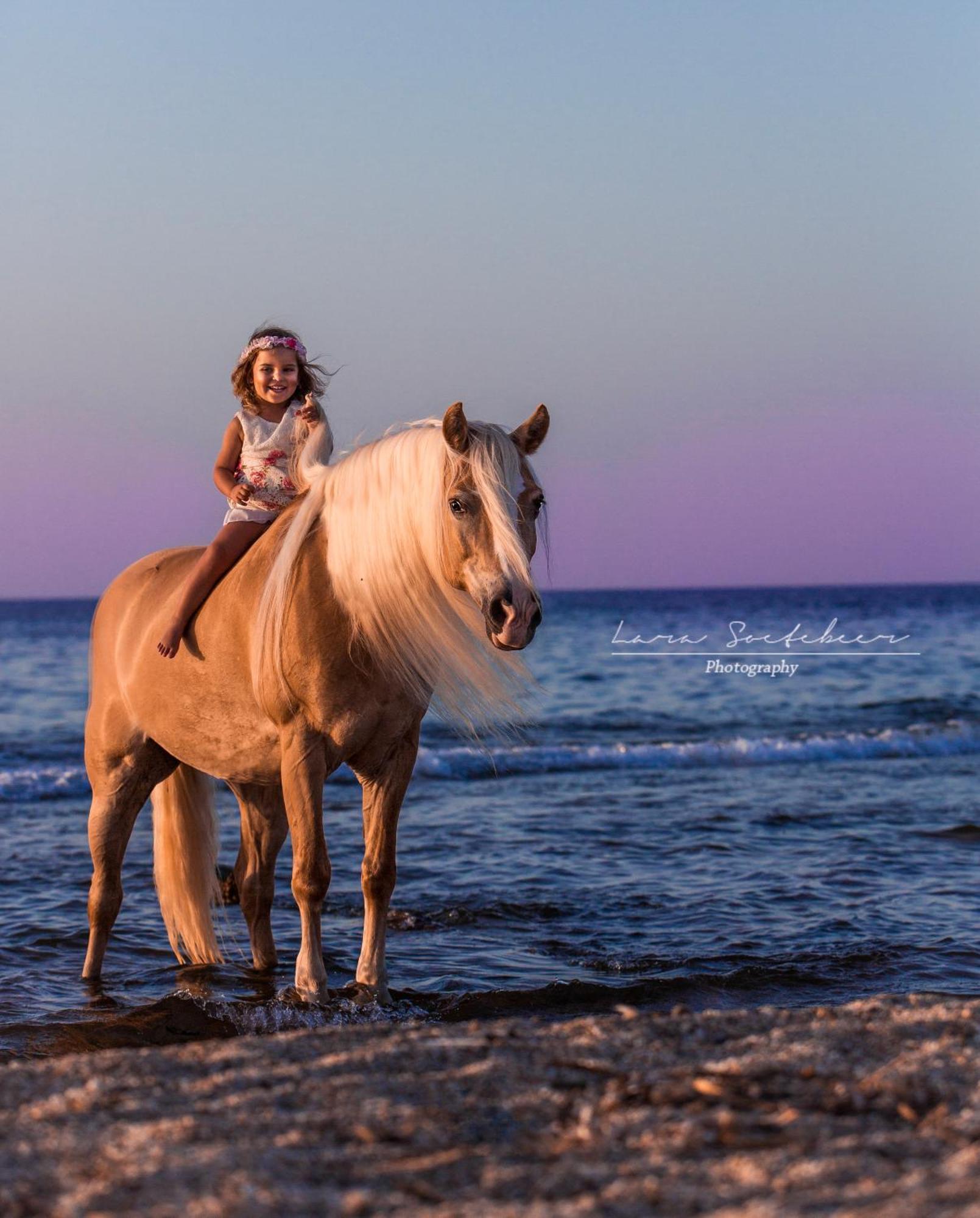 Arion Stables & Apartments Hersonissos  Dış mekan fotoğraf